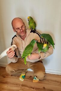 papagoide müük