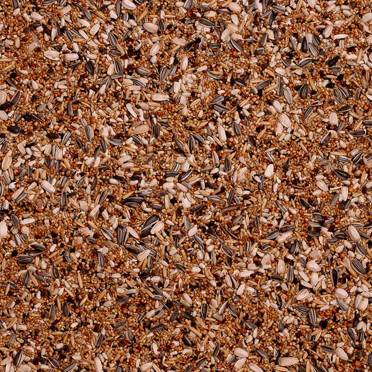 Seemnesegu nümfkakaduudele Deli Nature Large Parakeets