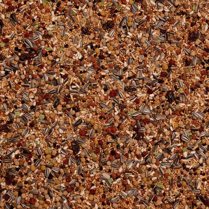 seemnesegu Deli Nature Large Parakeets Amazonia