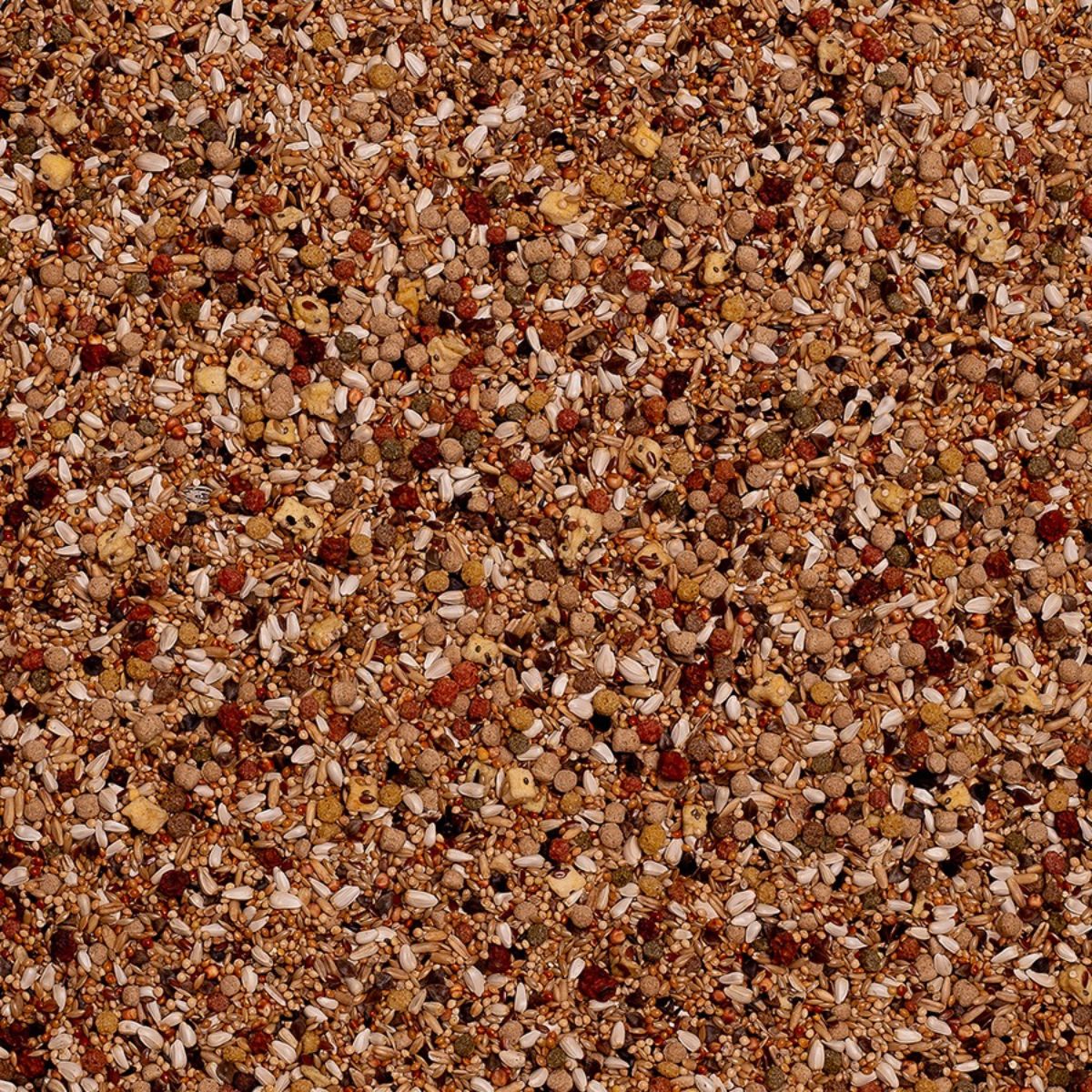 lembelindude seemnesegu deli nature large parakeets serengeti