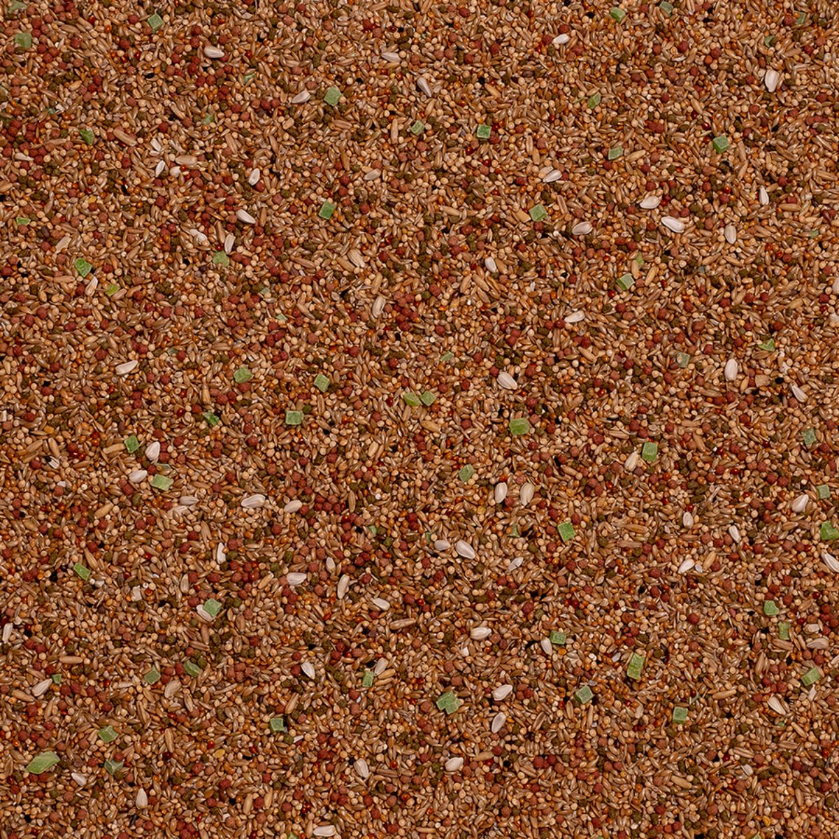 Seemnesegu viirpapagoidele Deli Nature BD Budgies