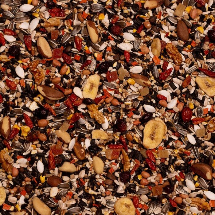 suurpapagoi seemnesegu Deli Nature BD Pantanal