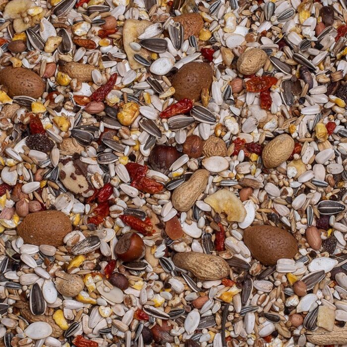 suurpapagoide seemnetoit BD Exquisit Nuts