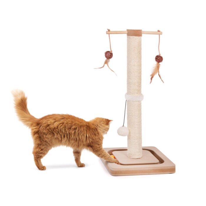 Canadian Cat Charly kassi kraapimispost