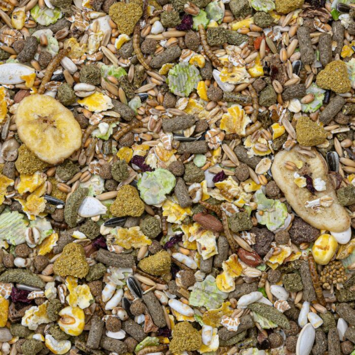 Toidusegu hamstritele Deli Nature Rodelicious Hamsters