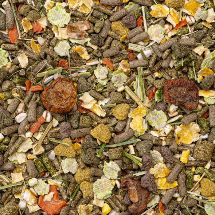 toidusegu kääbusküülikutele