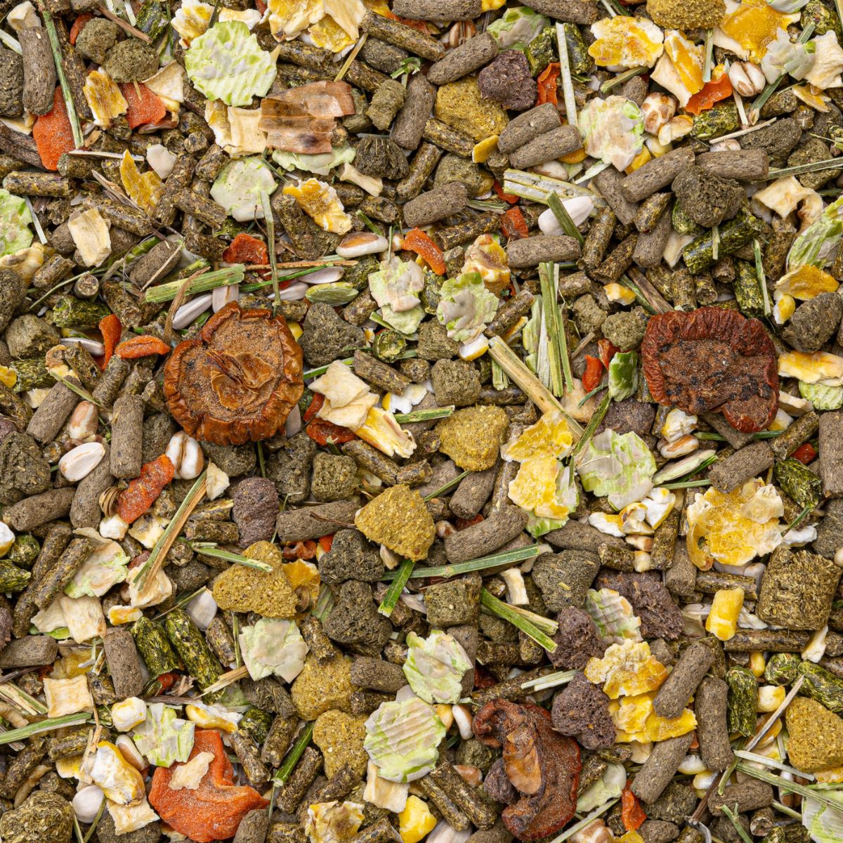 toidusegu kääbusküülikutele