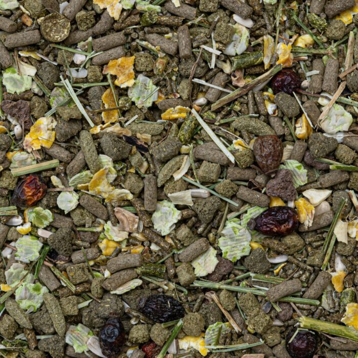 merisigade toidusegu deli nature rodelicious guinea pigs