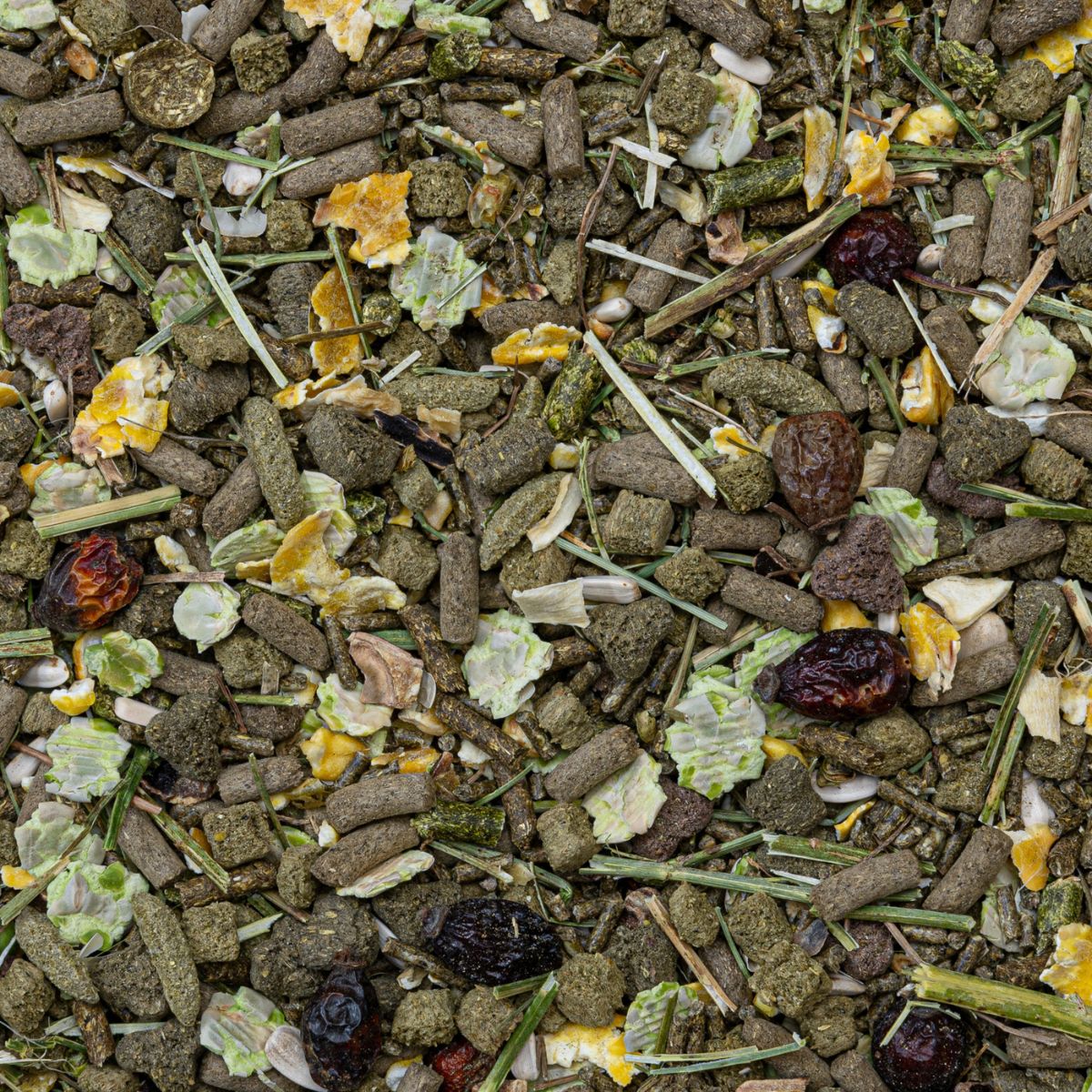 merisigade toidusegu deli nature rodelicious guinea pigs