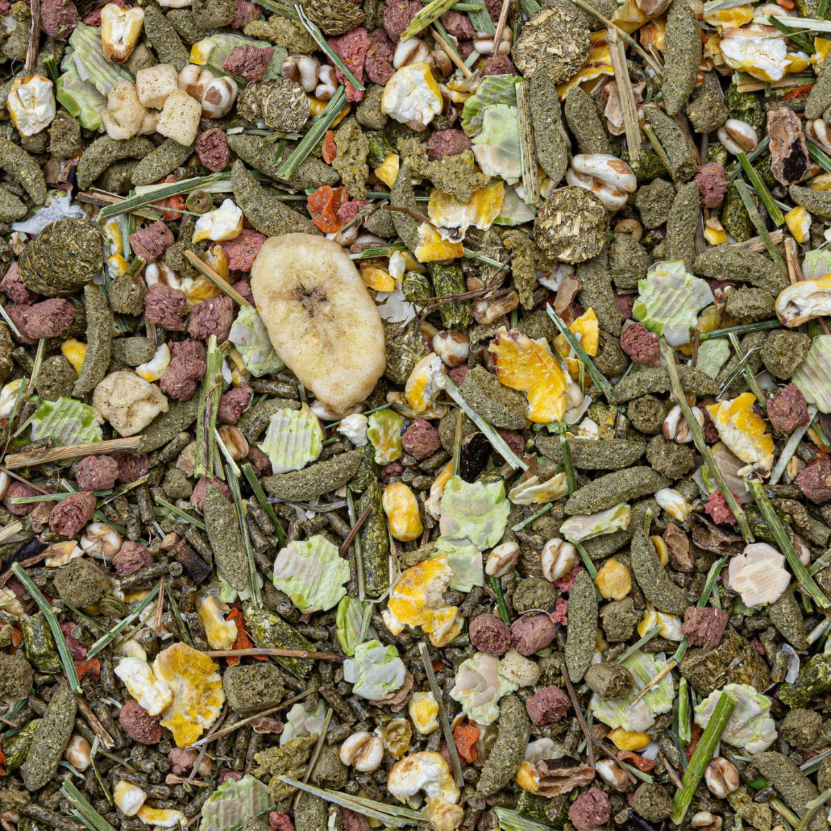 Toidusegu merisigadele Deli Nature Premium