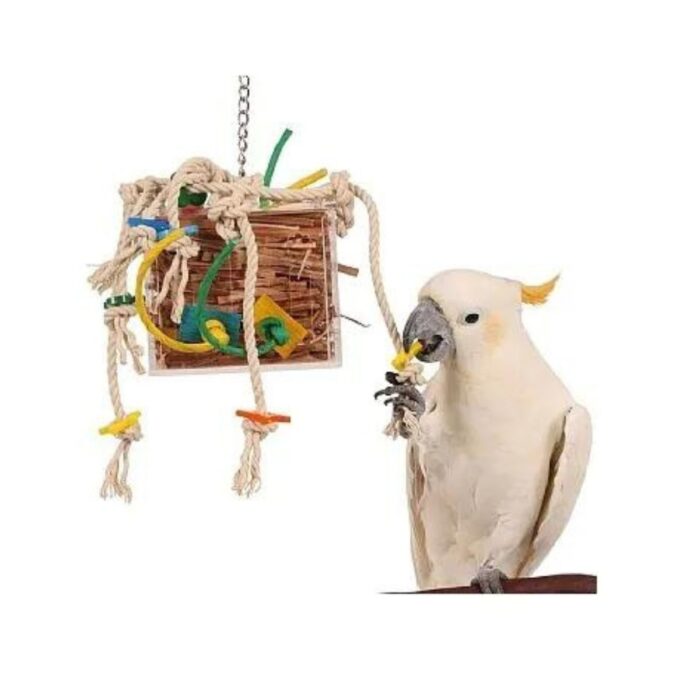 papagoi mänguasi crazy leather box