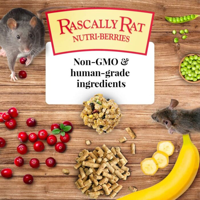 Graanulipallid rottidele Rascally Rat Nutri-Berries