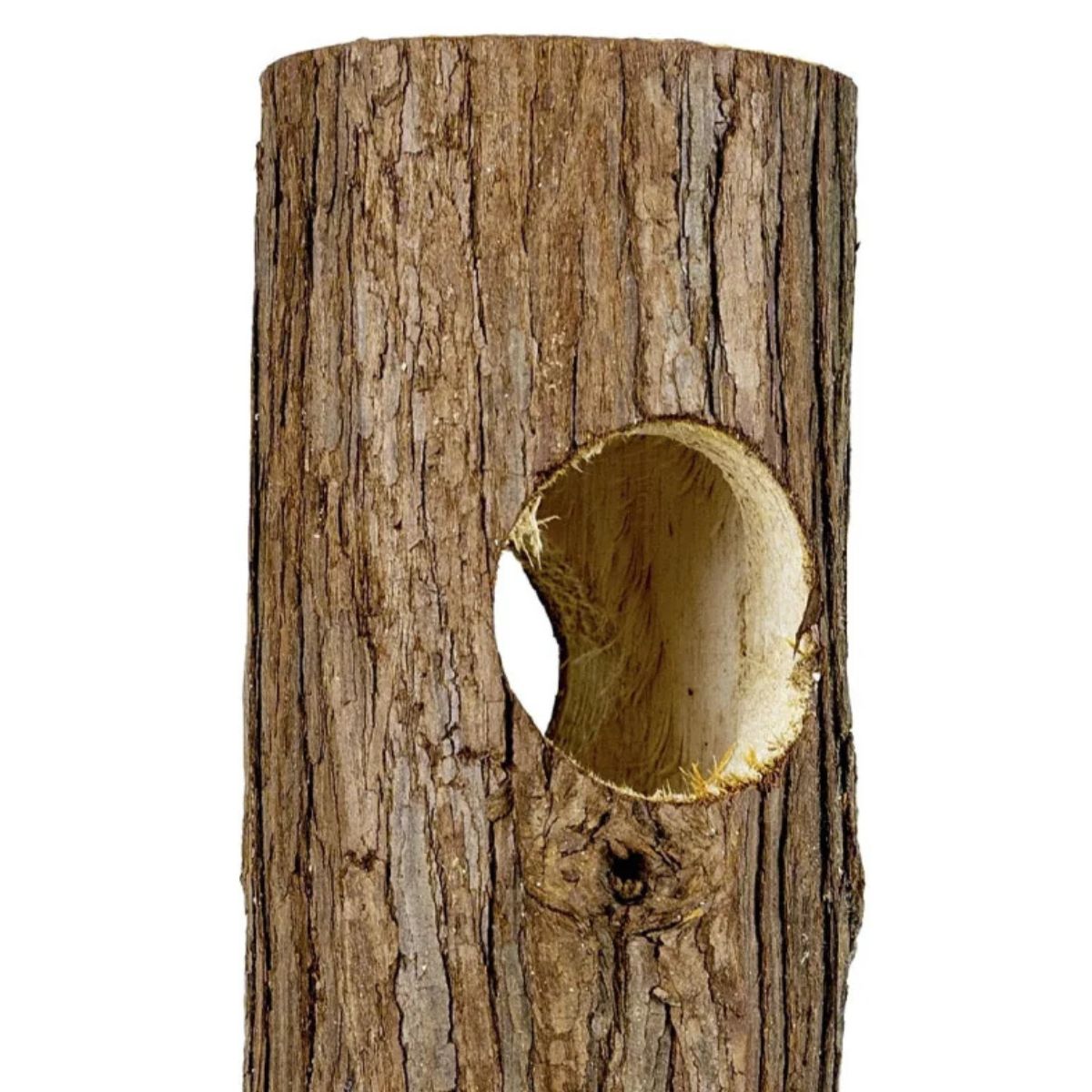 Puidust näriliste tunnel L