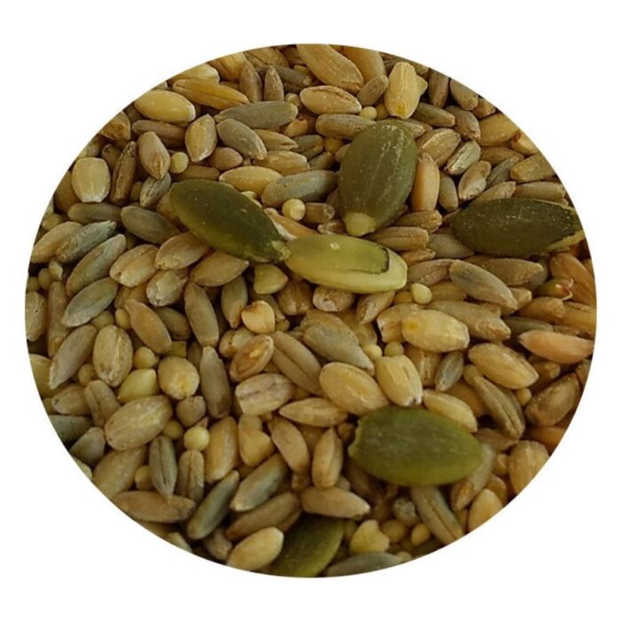 Seemned TOP's Organic All-in-One Seed Mix M/L Parrots