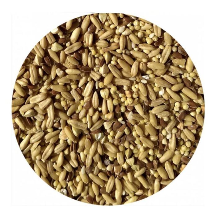 Seemned TOP's Parrot Napoleon Seed Mix Small Parrots