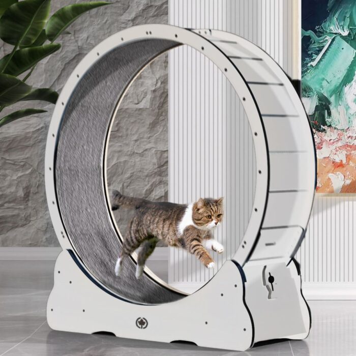 Canadian Cat kassi jooksuratas valge 120 cm