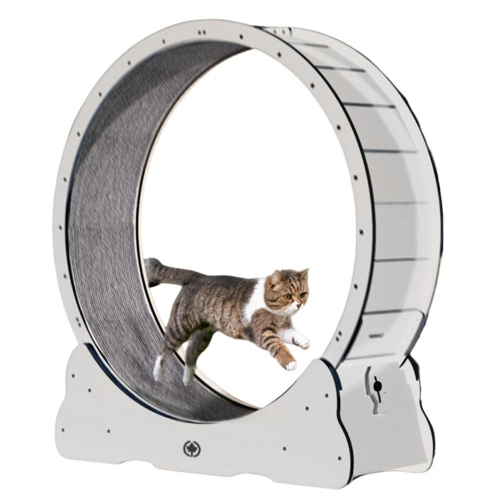canadian cat kassi jooksuratas valge 100 cm