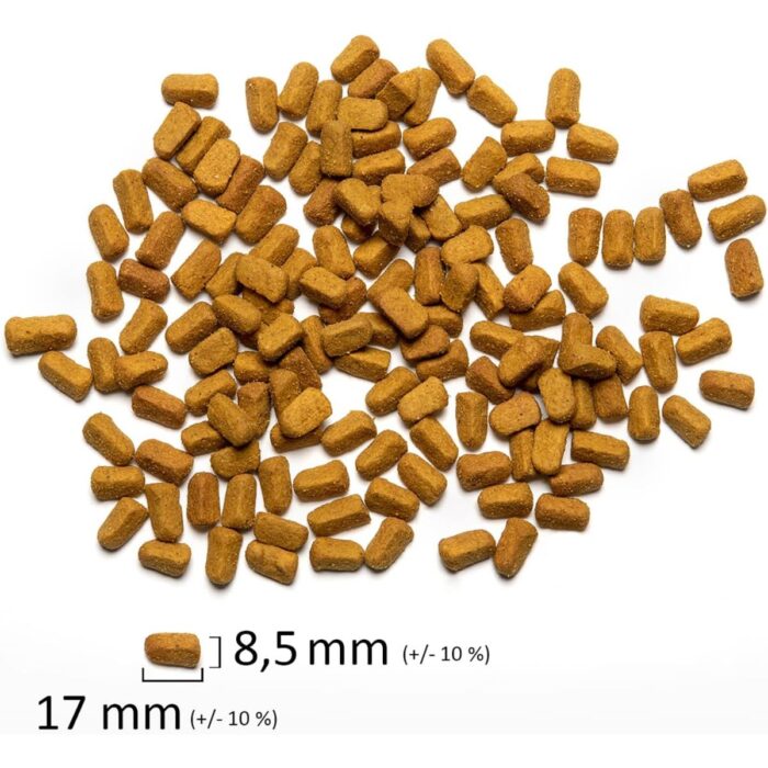 Graanultoit papagoidele Psittacus Omega 800 g