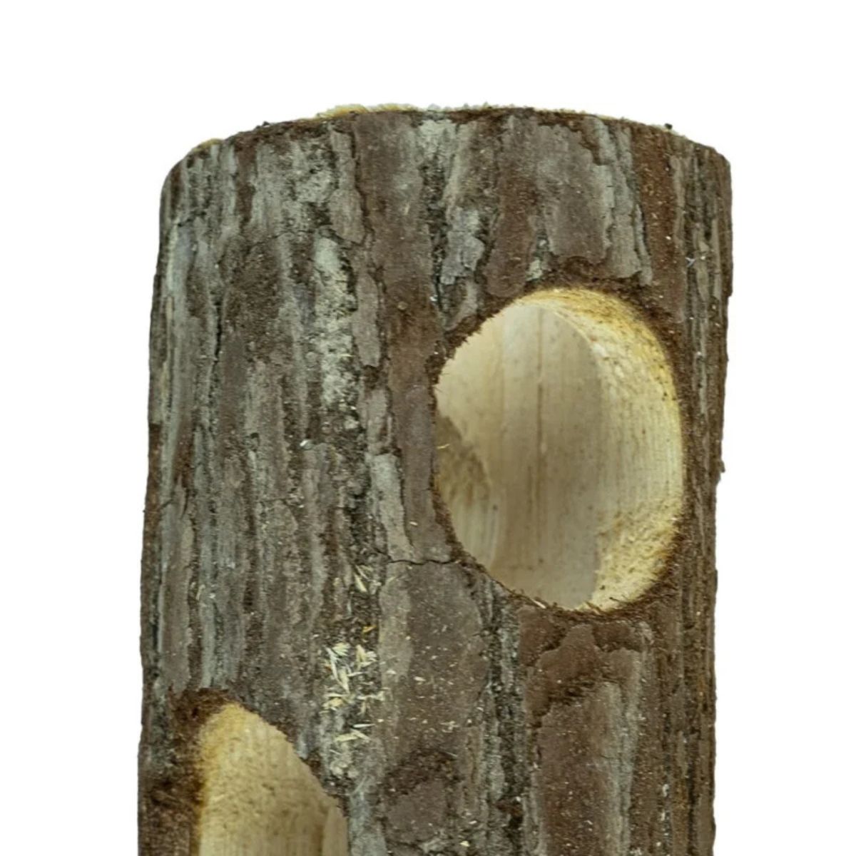 Puidust näriliste tunnel S