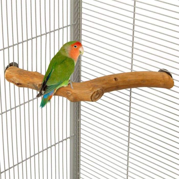 Nurgaõrs Rainforest Corner Perch