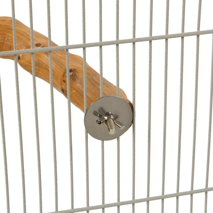 Viinamarjapuust nurgaõrs Rainforest Corner Perch - Image 3