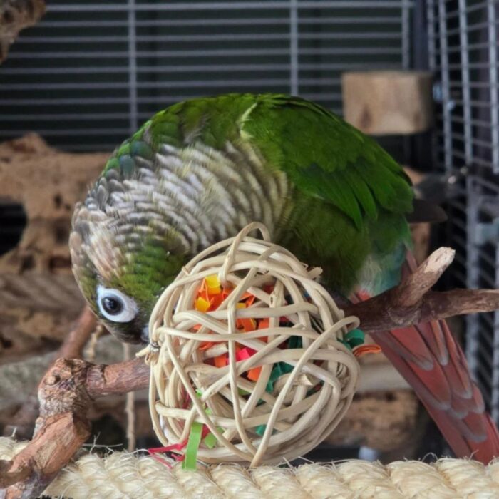 Punutud pallid toidupalade peitmiseks L