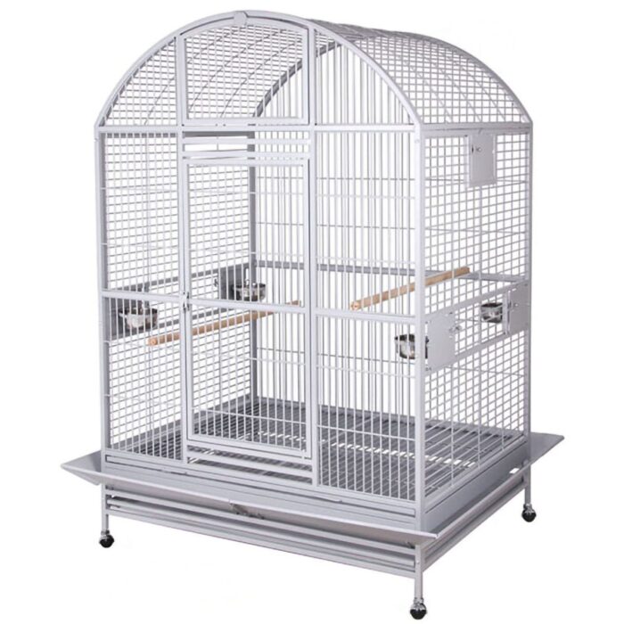 Papagoipuur Montana Grande Castell Platinum