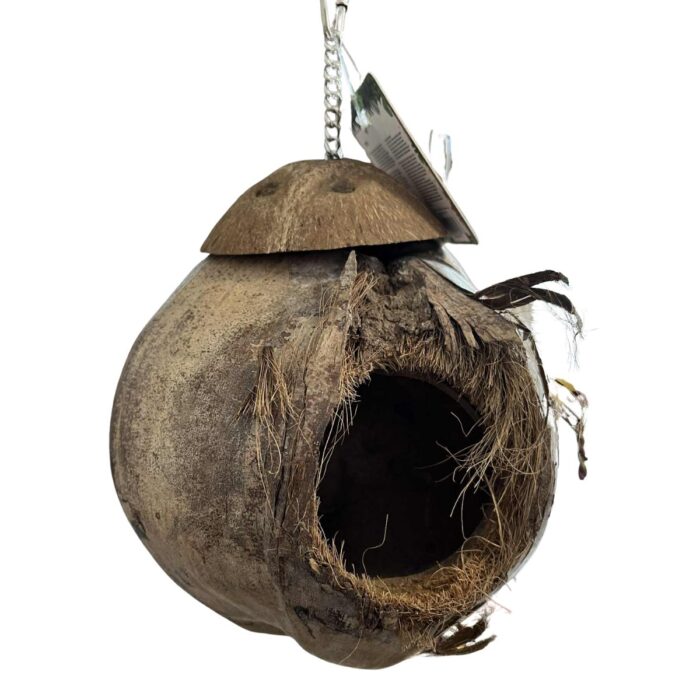 suur kookospähklist varjualune