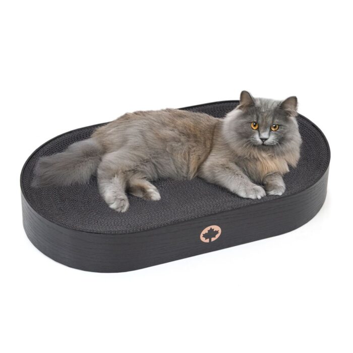 Canadian Cat Apollo Black kassi kraapimisalus