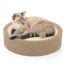 kassipesa lamamisase canadian cat pady