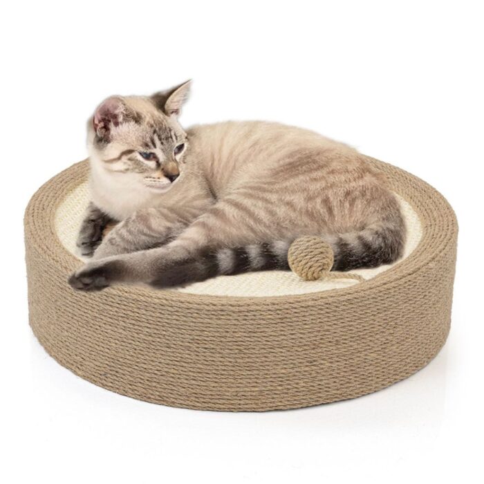 kassipesa lamamisase canadian cat pady