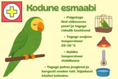 Kodune esmaabi papagoidele