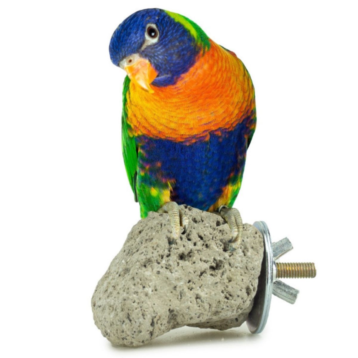 Java laavakivist papagoi õrs