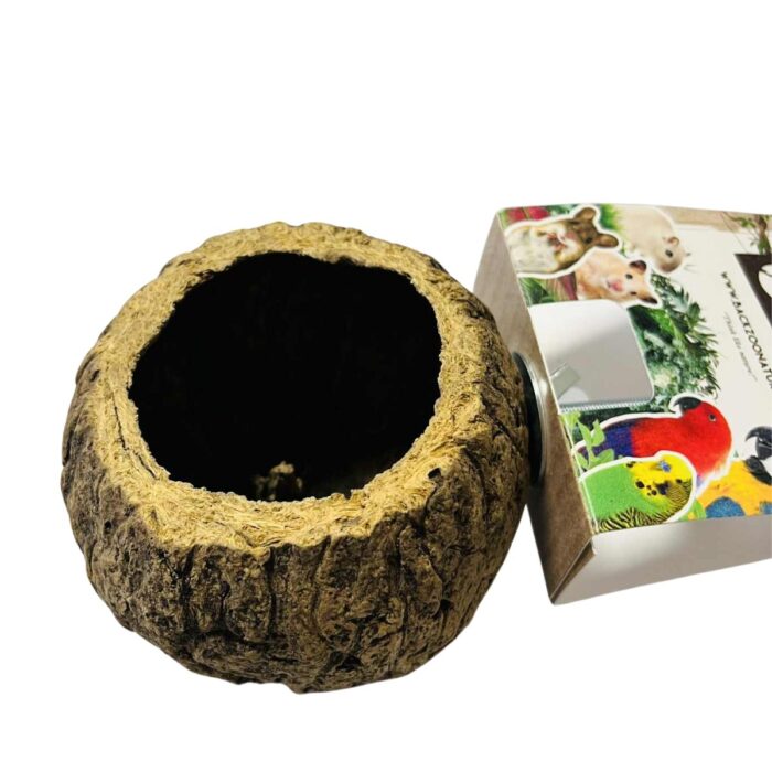 pähklikoorest toidukauss discovery bowl