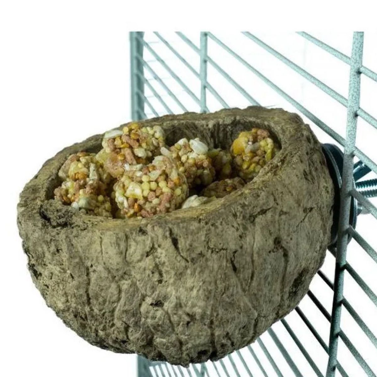 pähklikoorest toidukauss discovery bowl