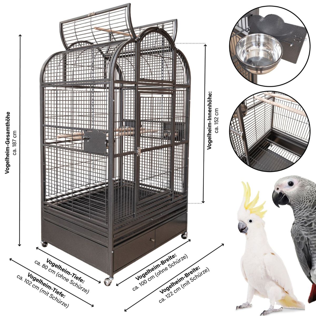 papagoipuur linnupuur Montana Old Berlin Antik