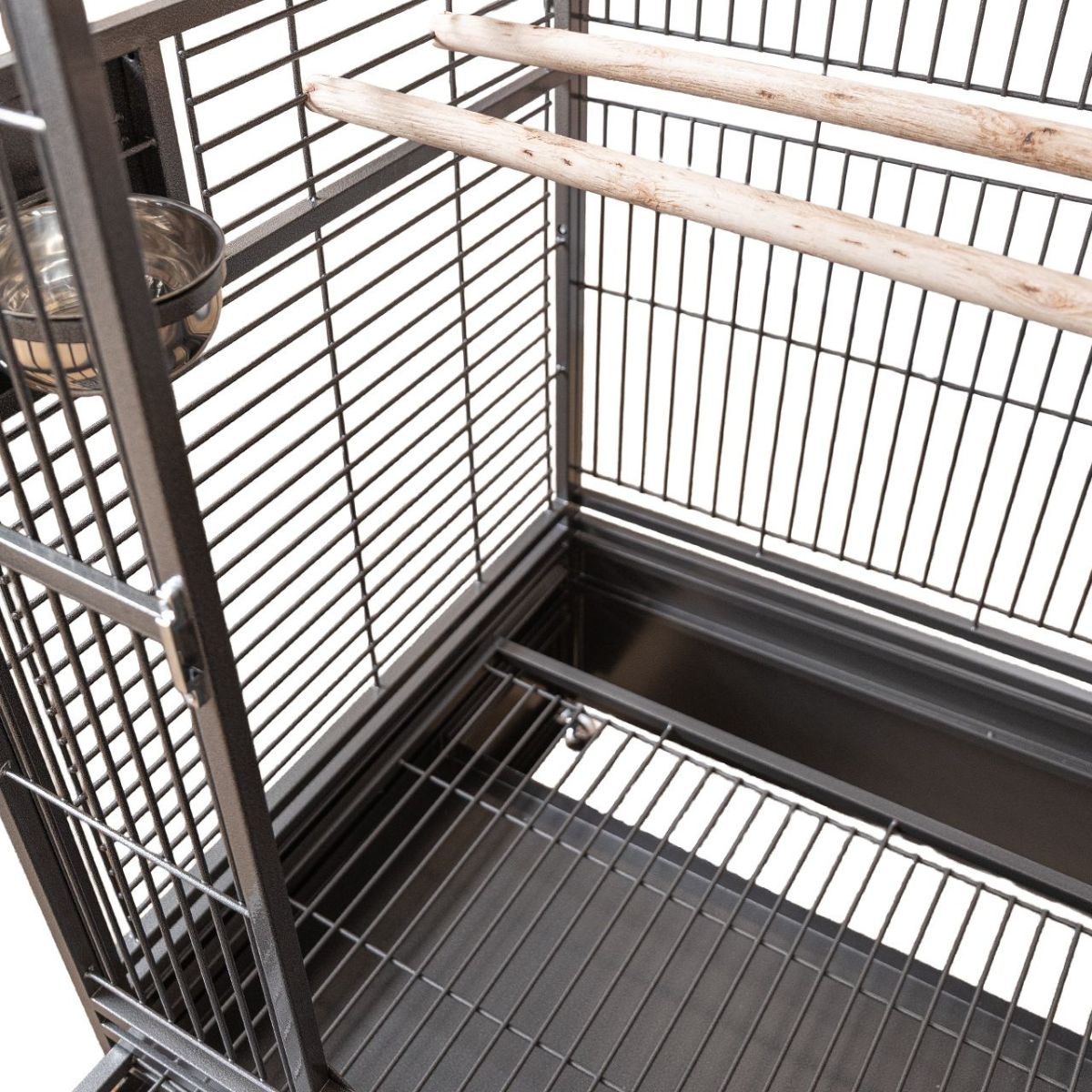 papagoipuur linnupuur Montana Old Berlin Antik