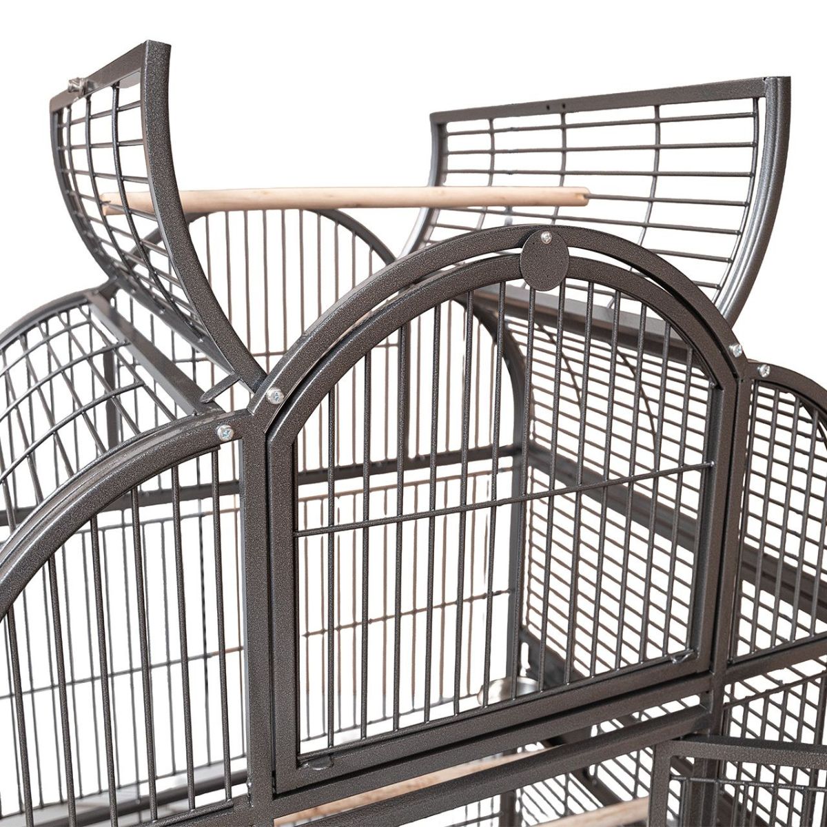 papagoipuur linnupuur Montana Old Berlin Antik