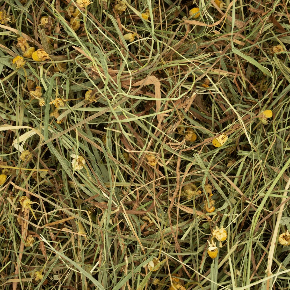 Timutihein Deli Nature Rodelicious Daisy & Dandelion