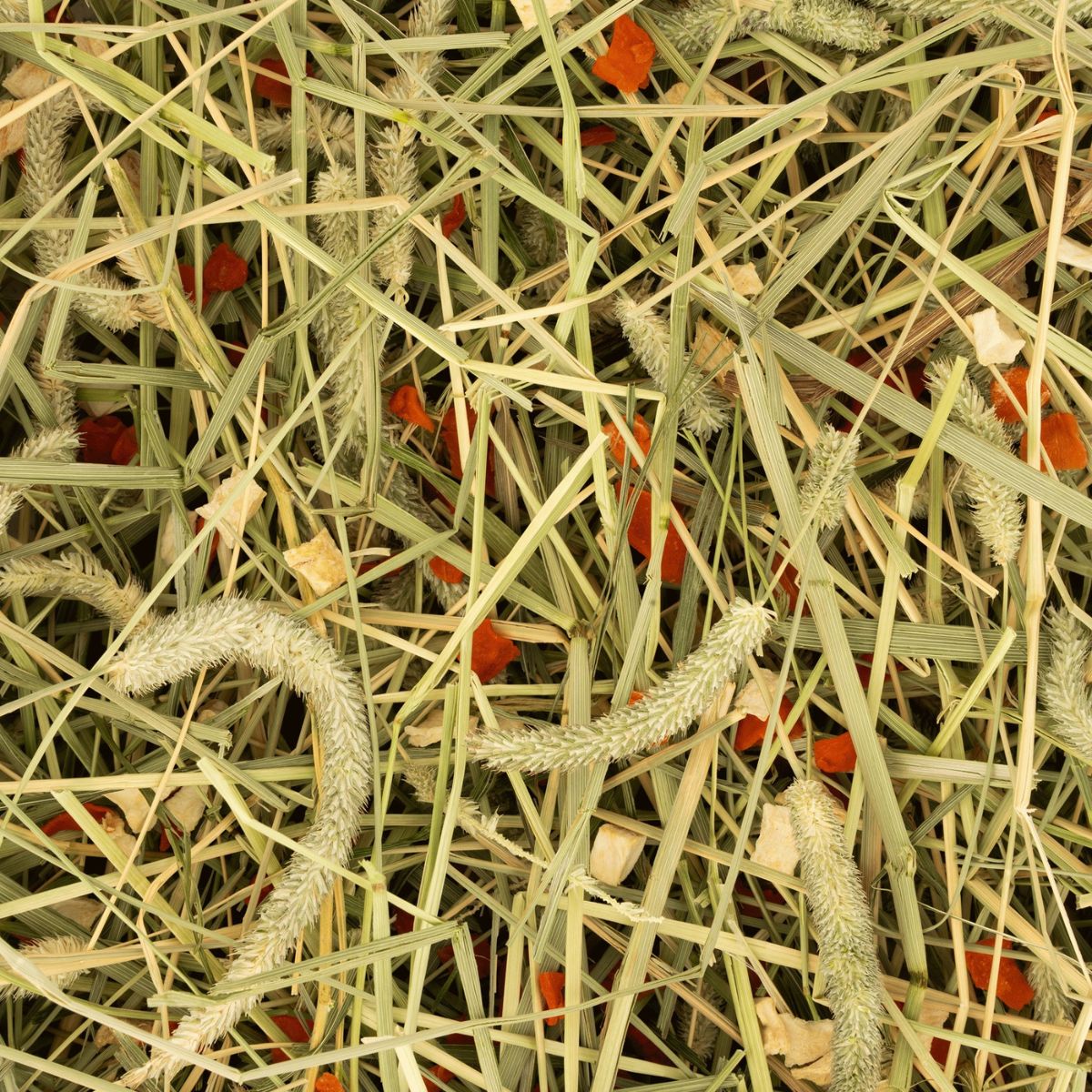 Timutihein Deli Nature Rodelicious Carrot & Parsnip