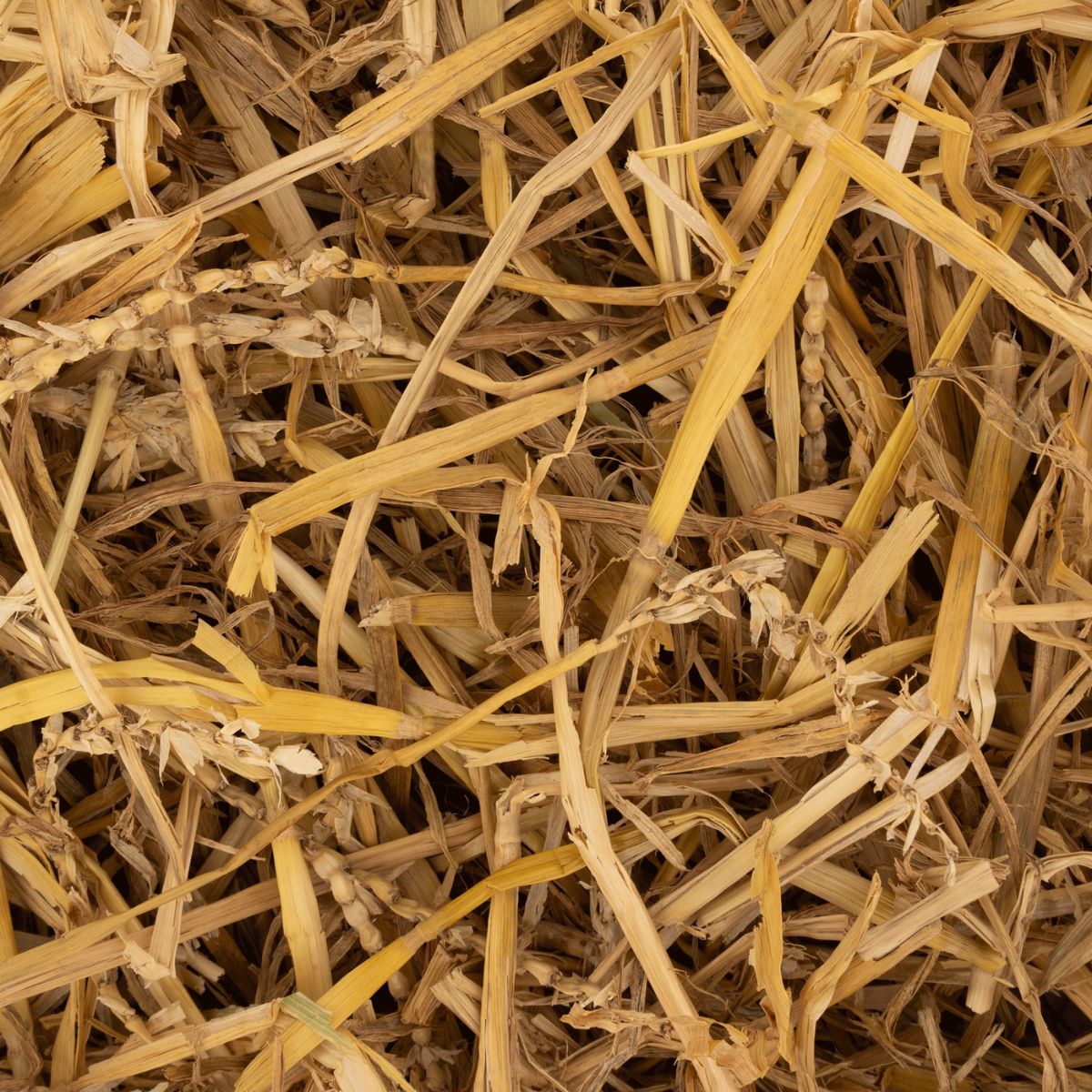 Põhk küülikutele ja koduloomadele Deli Nature Straw Premium 2 kg - Image 2