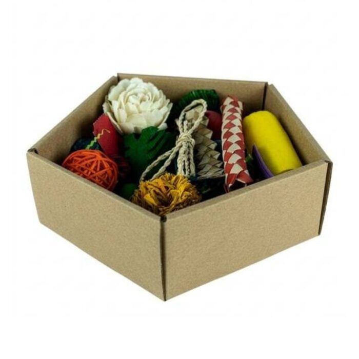 papagoi mänguasja valmistamise komplekt