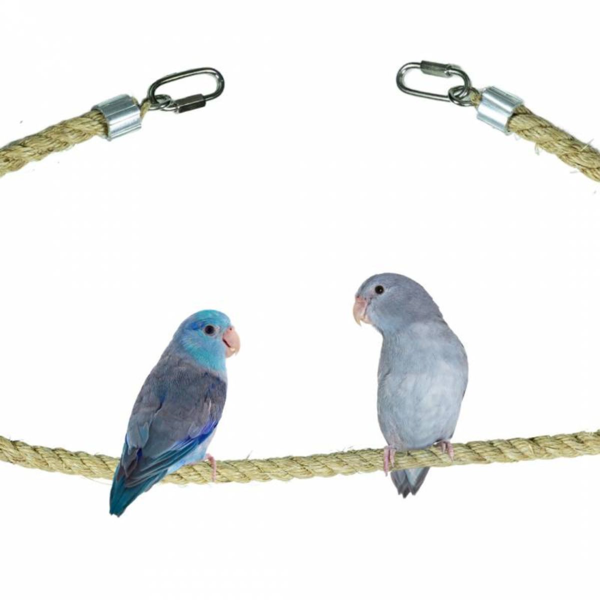 sisalköis papagoidele 200 x 1,2 cm