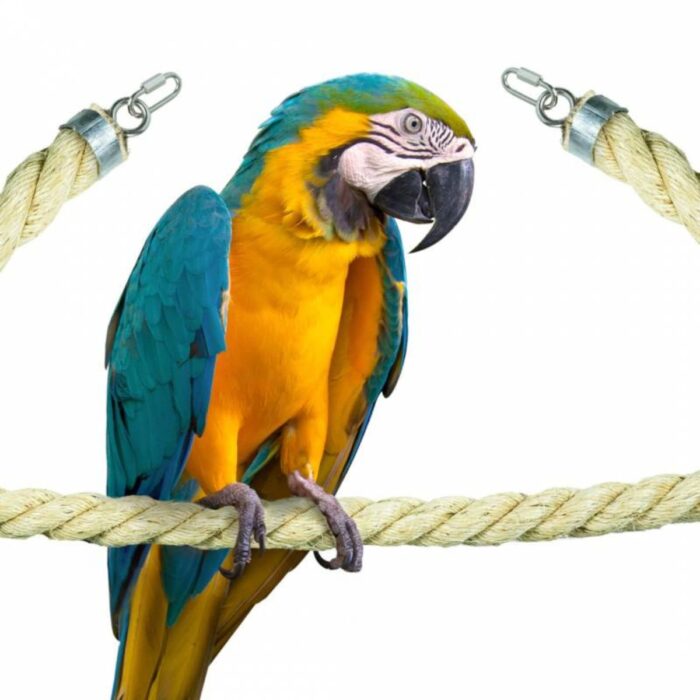 kinnitustega sisalköis 200 x 3,5 cm