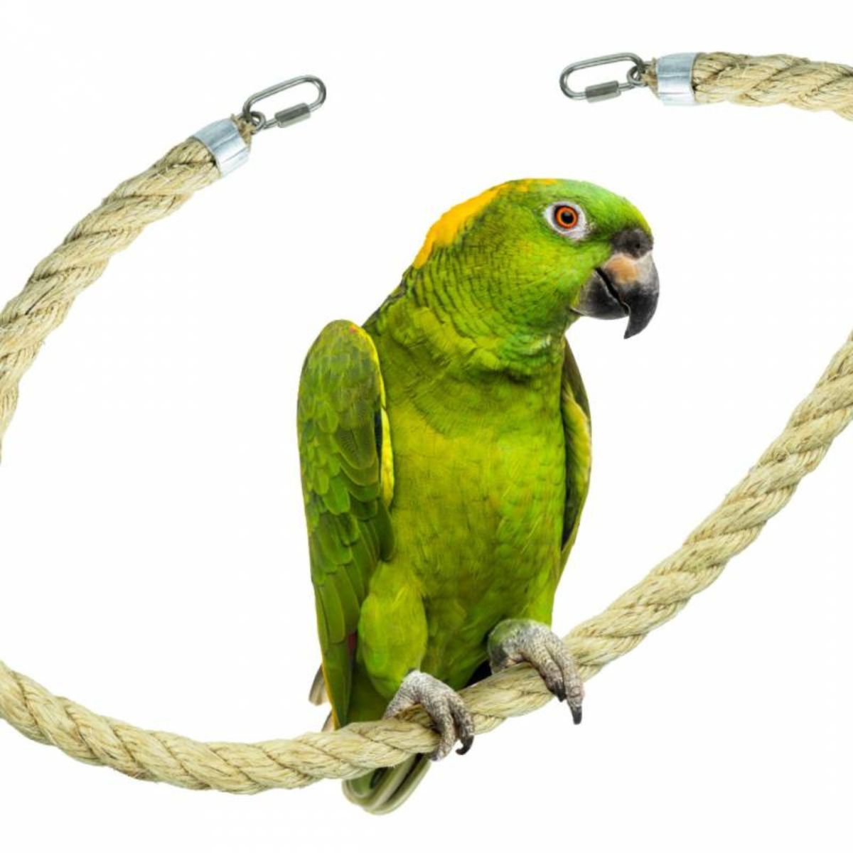 kinnitustega sisalköis 2,5 x 100 cm