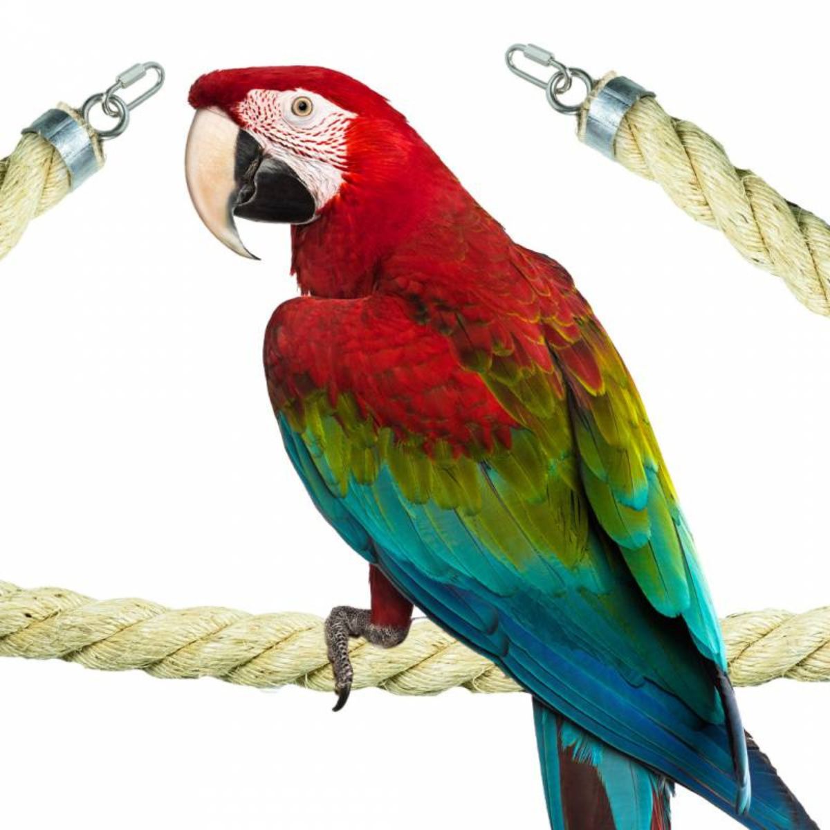 kinnitustega sisalköis 3,5 x 100 cm