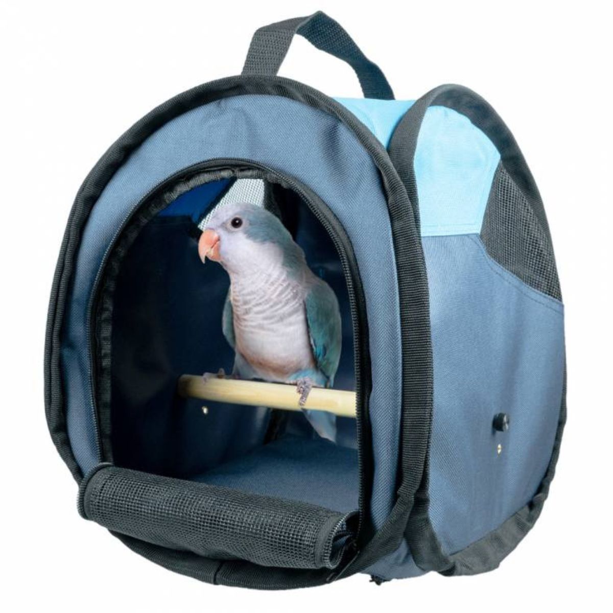 papagoi transpordikott