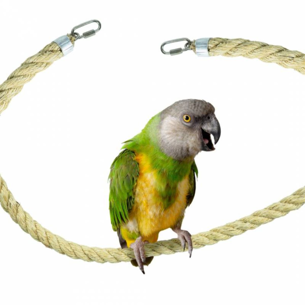 kinnitustega sisalköis 200 x 2,5 cm