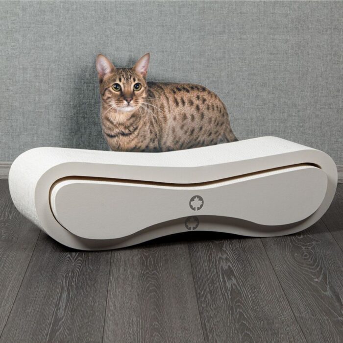 Canadian Cat kassi kraapimisalus