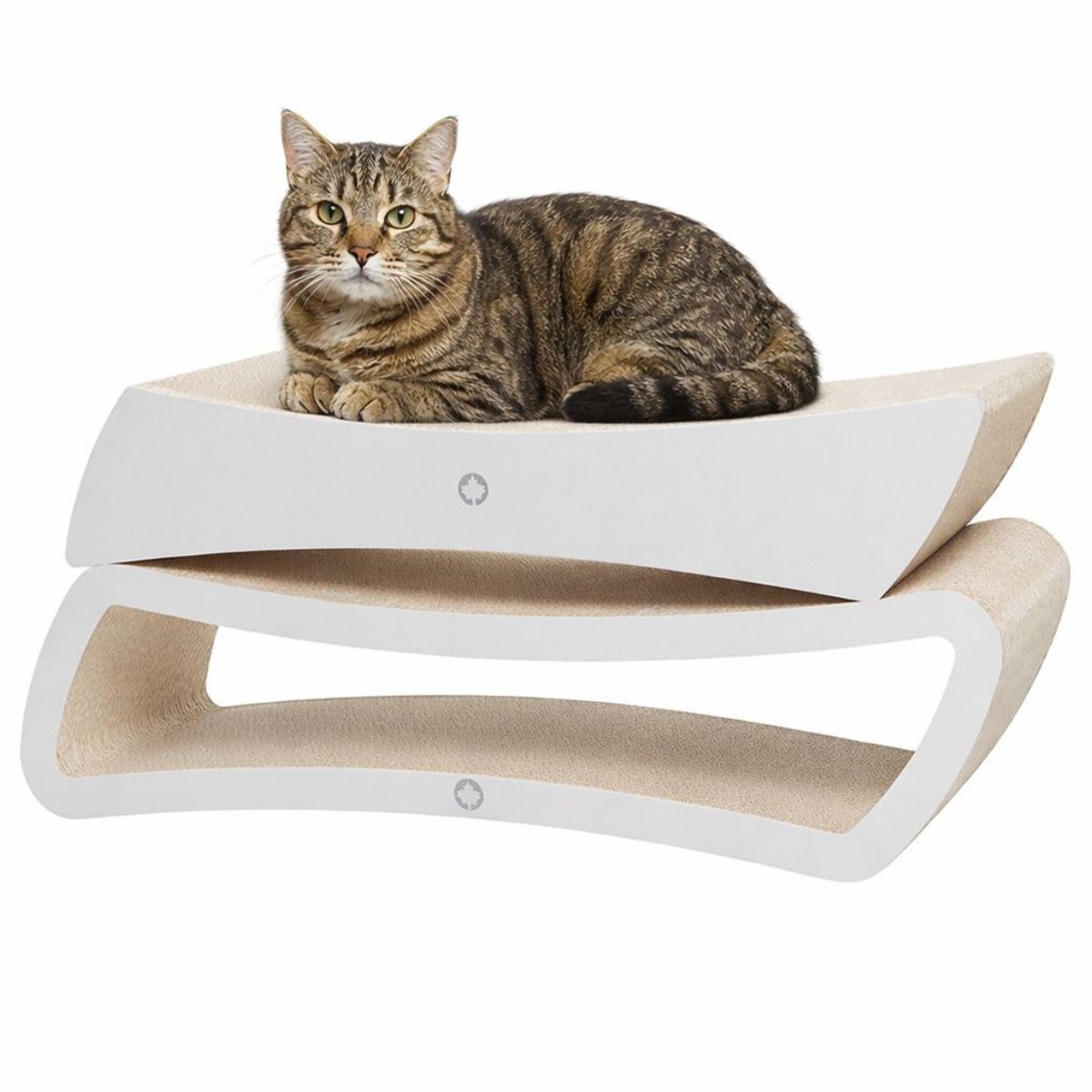 Canadian Cat Eclipse + Pulsar White kassi kraapimisalused - Image 2